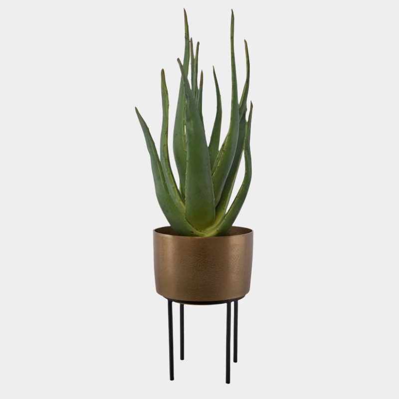 Arabia Aloe Planter, 2 CARTONS