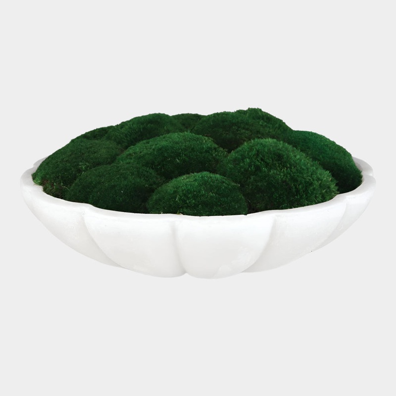 Awaken Moss Centerpiece