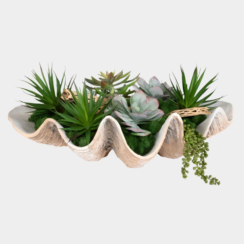 Seaside Breeze Succulents