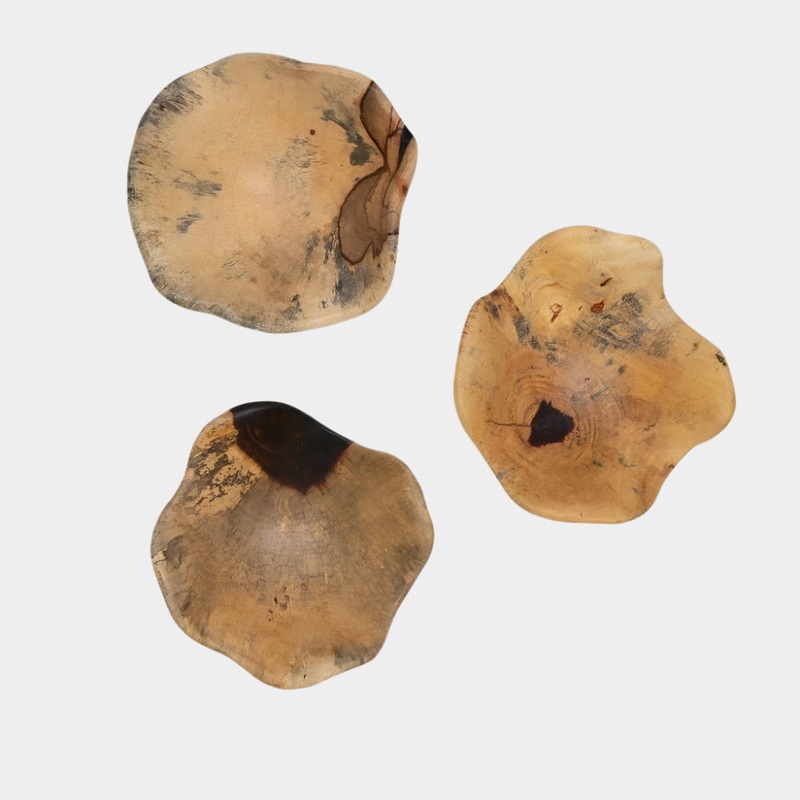 Tamarine Wood Wall Decor, S/3