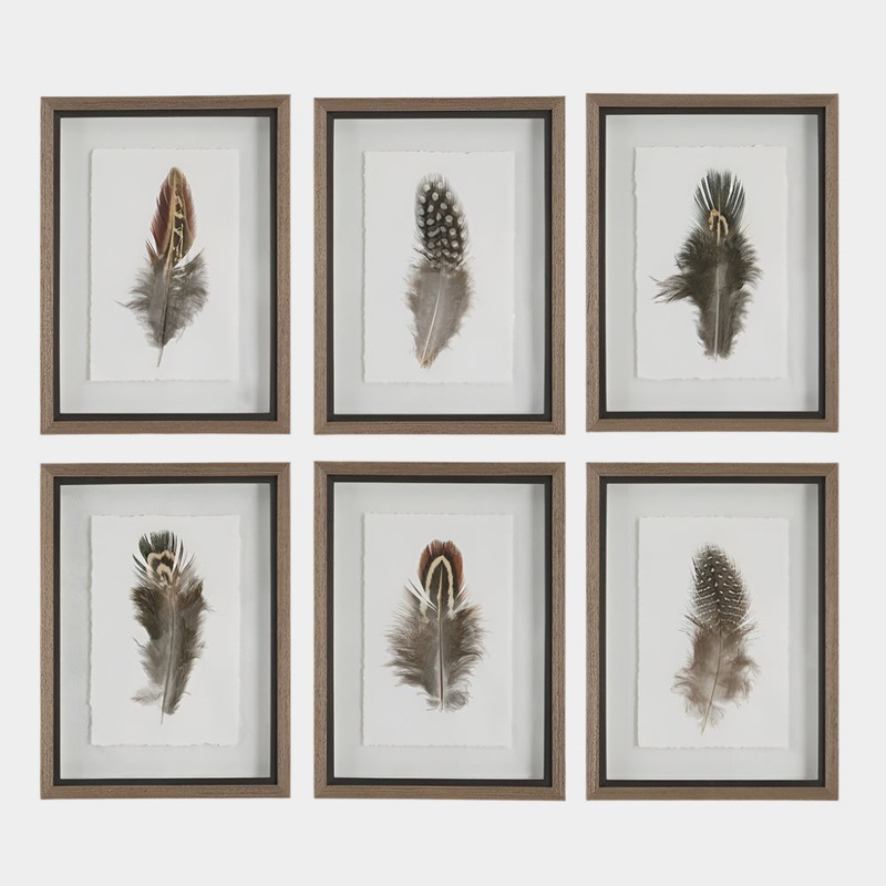 Birds of a Feather Framed Prints, S/6