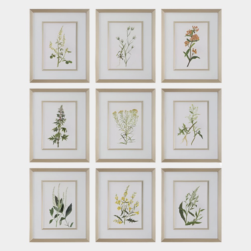 Botanical Flowers Framed Prints, S/9