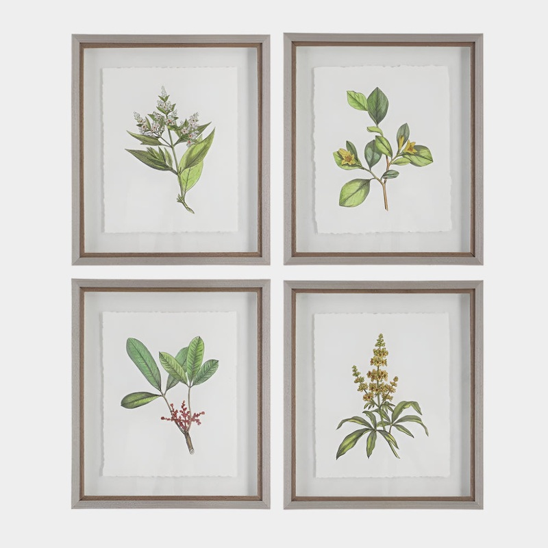 Wildflower Study Framed Prints, S/4