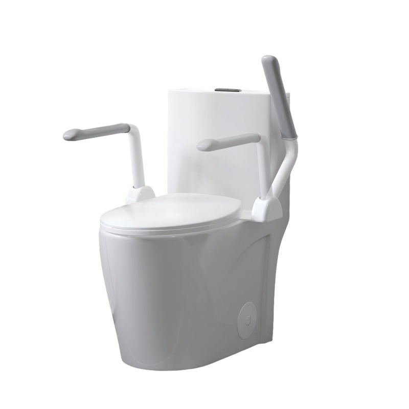 Upgraded Design Armrest, With Glossy Gw 007 1 Piece Toilet With Tornado Flush, Soft Close Seat, Dual Flush Map 1000G, Comfort Chair Seat – Gloss White