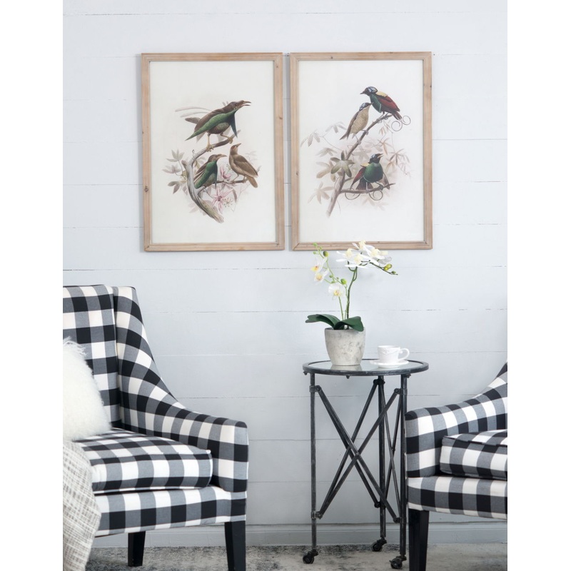 Bird Framed Print (Set of 2) – Multicolor